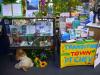 Local author Niki Harré at Pt Chev Library speaking on 15 Nov 2008 about creating a Green Community - picture 5.