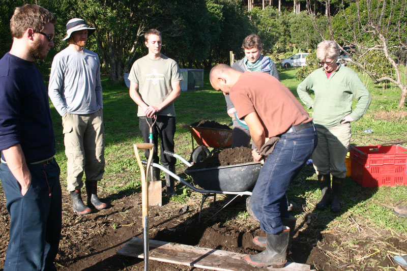 double digging demo Koanga Institute