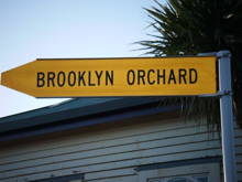 Brooklyn orchard AA sign