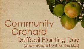 Detail from the poster for the daffodil planting day