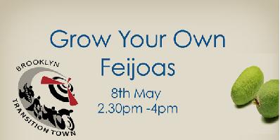 Grow your own feijoa workshop poster